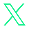 X Icon